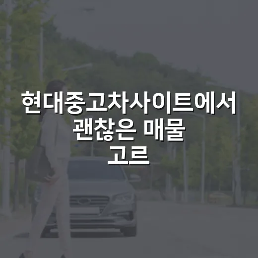 현대중고차사이트에서 괜찮은 매물 고르는 방법, 운전 14년차 기준으로 이렇게 봅니다 - 요약