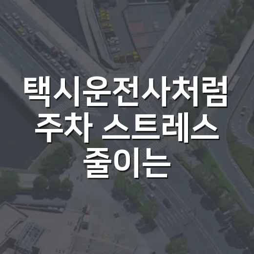 택시운전사처럼 주차 스트레스 줄이는 방법, 14년 운전자가 써먹는 습관 - 요약