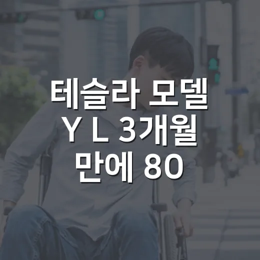 테슬라 모델 Y L 3개월 만에 800만 원 인상 체감 피하려면 이렇게 계산하세요 - 요약