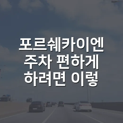 포르쉐카이엔 주차 편하게 하려면 이렇게 잡으면 됩니다 - 요약