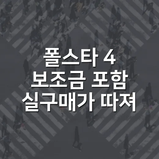 폴스타 4 보조금 포함 실구매가 따져보는 방법, 옵션 넣기 전에 이렇게 계산하세요 - 요약