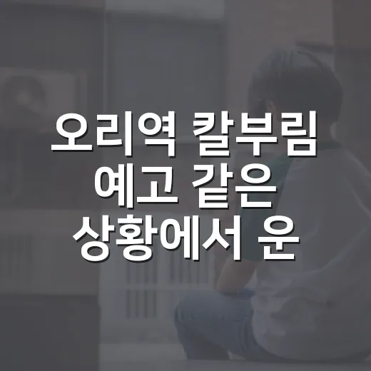 오리역 칼부림 예고 같은 상황에서 운전자가 주차하고 빠져나오는 방법 - 요약