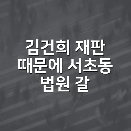 김건희 재판 때문에 서초동 법원 갈 때 주차 덜 헤매는 방법 - 요약