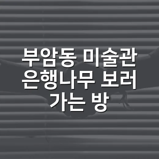 부암동 미술관 은행나무 보러 가는 방법, 차 가져갈 때 덜 헤매는 동선 - 요약