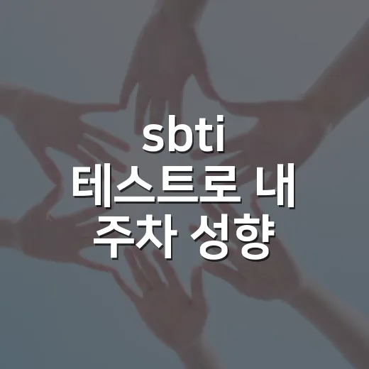 sbti 테스트로 내 주차 성향 파악하는 방법 - 요약