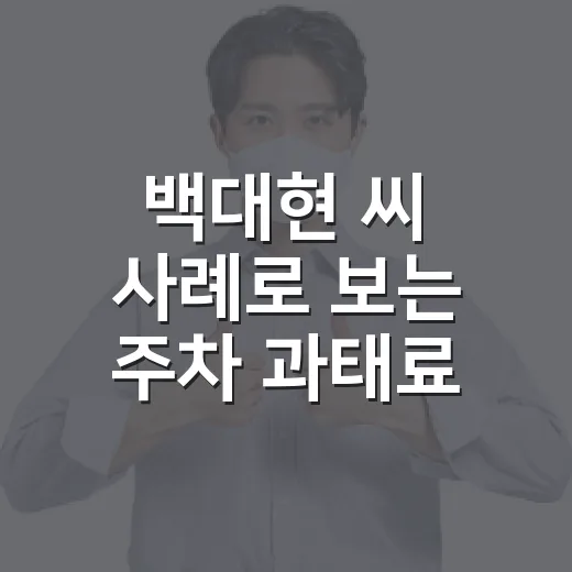 백대현 씨 사례로 보는 주차 과태료 덜 내는 방법 - 요약