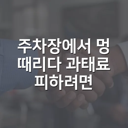 주차장에서 멍 때리다 과태료 피하려면 이렇게 확인하는 방법 - 요약
