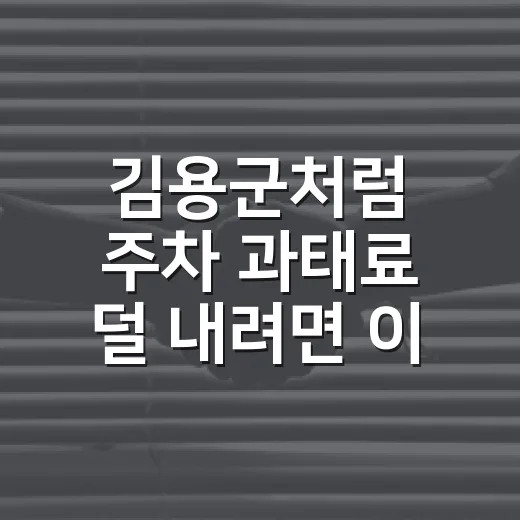 김용군처럼 주차 과태료 덜 내려면 이렇게 확인하는 방법 - 요약