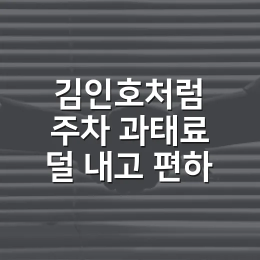 김인호처럼 주차 과태료 덜 내고 편하게 대는 방법 - 요약