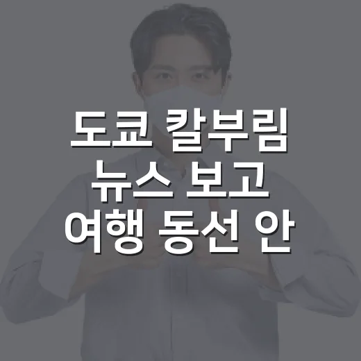 도쿄 칼부림 뉴스 보고 여행 동선 안전하게 잡는 방법 - 요약