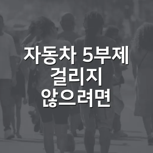 자동차 5부제 걸리지 않으려면 이렇게 확인하는 방법 - 요약