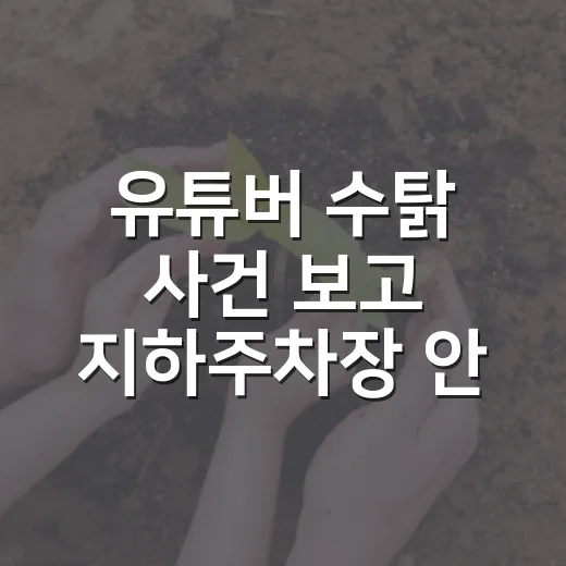 유튜버 수탉 사건 보고 지하주차장 안전하게 쓰는 방법 - 요약