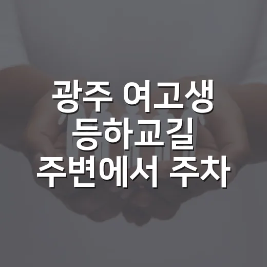 광주 여고생 등하교길 주변에서 주차 실수 줄이는 방법 - 요약