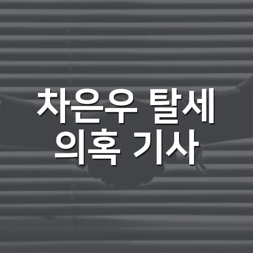 차은우 탈세 의혹 기사, 괜히 흥분하지 않고 확인하는 방법 - 요약