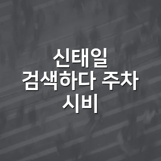 신태일 검색하다 주차 시비 걱정된다면 과태료 피하는 방법 - 요약