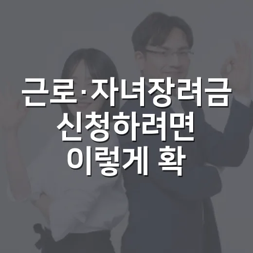 근로·자녀장려금 신청하려면 이렇게 확인하는 방법 - 요약