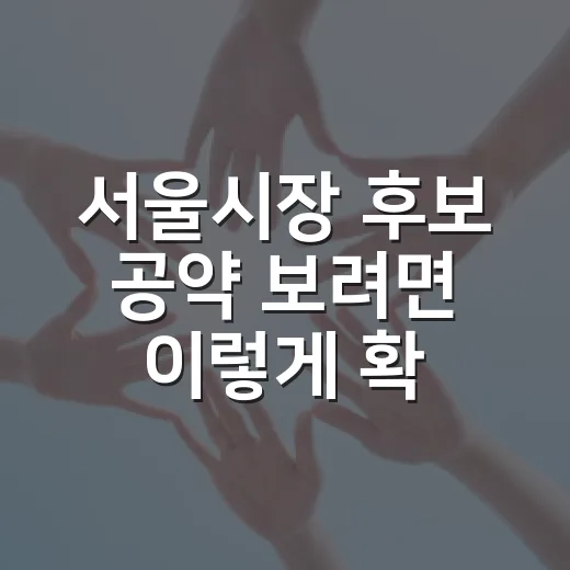 서울시장 후보 공약 보려면 이렇게 확인하면 헛걸음이 줄어듭니다 - 요약