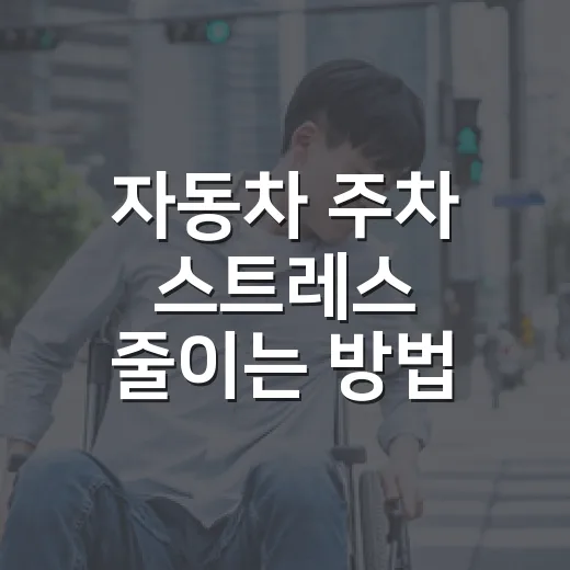 자동차 주차 스트레스 줄이는 방법, 14년 운전자가 자주 쓰는 생활 팁 - 요약