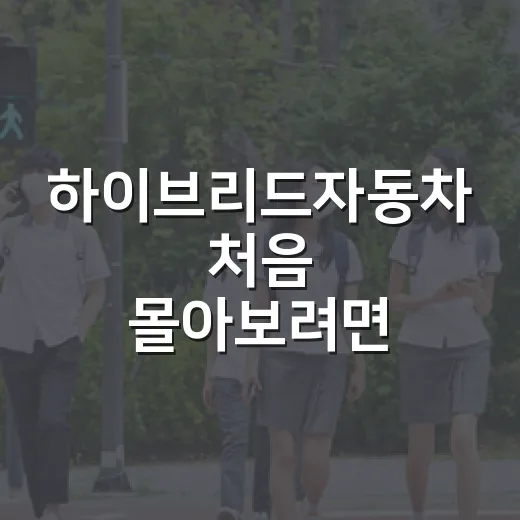하이브리드자동차 처음 몰아보려면 이렇게 운전하고 관리하면 편합니다 - 요약