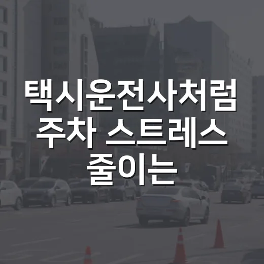 택시운전사처럼 주차 스트레스 줄이는 방법 - 요약
