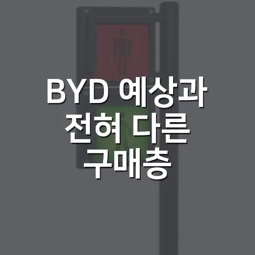 BYD 예상과 전혀 다른 구매층, 주차장에서 보면 이렇게 다릅니다 - 요약