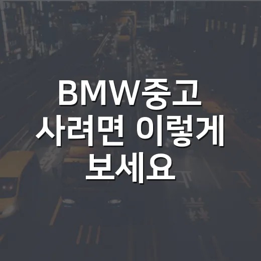 BMW중고 사려면 이렇게 보세요, 14년 운전자가 놓치기 쉬운 체크 방법 - 요약