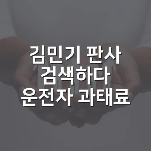 김민기 판사 검색하다 운전자 과태료 정보까지 같이 확인하는 방법 - 요약