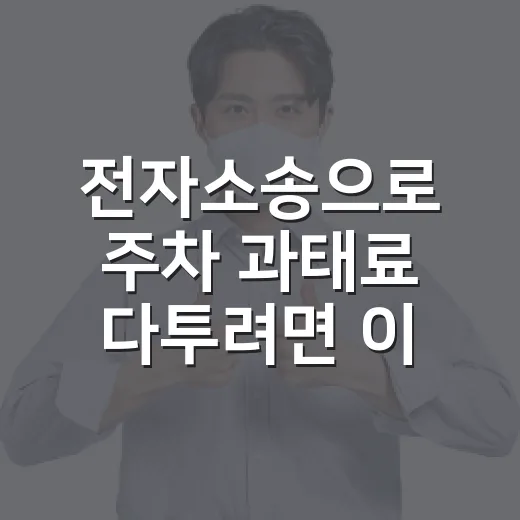 전자소송으로 주차 과태료 다투려면 이렇게 준비하면 됩니다 - 요약
