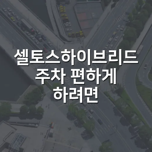 셀토스하이브리드 주차 편하게 하려면 이렇게 고르세요 - 요약