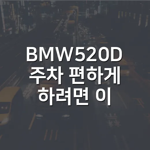 BMW520D 주차 편하게 하려면 이렇게 잡으면 됩니다 - 요약