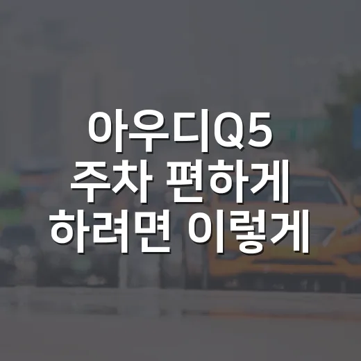 아우디Q5 주차 편하게 하려면 이렇게 잡으면 됩니다 - 요약