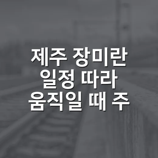 제주 장미란 일정 따라 움직일 때 주차 덜 고생하는 방법 - 요약