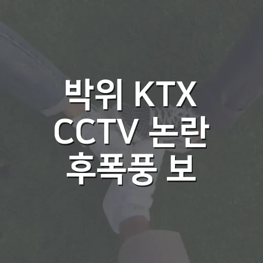 박위 KTX CCTV 논란 후폭풍 보며 블랙박스 공개 실수 줄이는 방법 - 요약