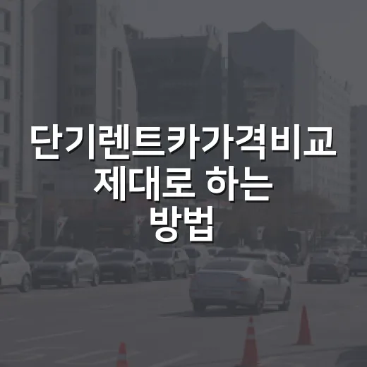 단기렌트카가격비교 제대로 하는 방법, 하루 빌려도 덜 손해 보려면 이렇게 보세요 - 요약