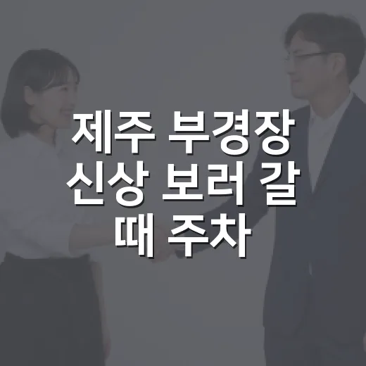 제주 부경장 신상 보러 갈 때 주차 덜 헤매는 방법 - 요약