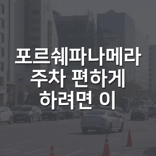 포르쉐파나메라 주차 편하게 하려면 이렇게 잡아야 합니다 - 요약