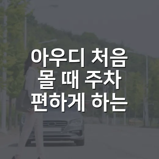 아우디 처음 몰 때 주차 편하게 하는 방법, 차폭감부터 센서 믿는 법까지 - 요약
