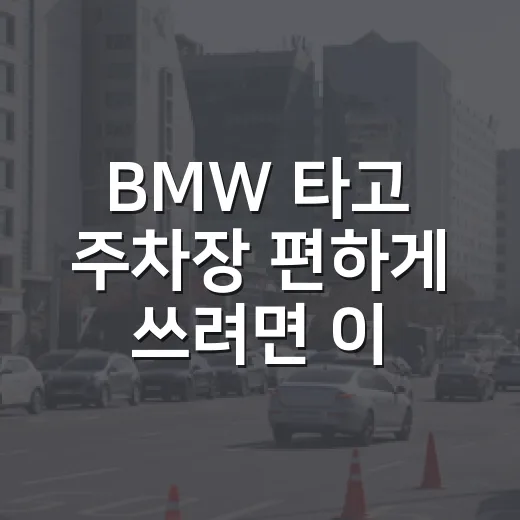 BMW 타고 주차장 편하게 쓰려면 이렇게 하면 됩니다 - 요약