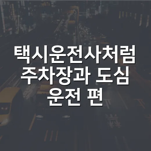 택시운전사처럼 주차장과 도심 운전 편하게 하는 방법 - 요약