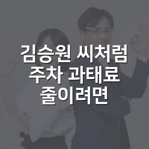 김승원 씨처럼 주차 과태료 줄이려면 이렇게 확인하는 방법 - 요약
