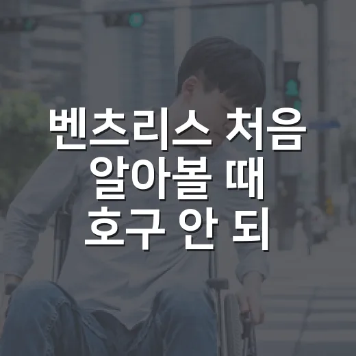 벤츠리스 처음 알아볼 때 호구 안 되려면 이렇게 비교하는 방법 - 요약