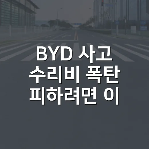 BYD 사고 수리비 폭탄 피하려면 이렇게 확인하는 방법 - 요약