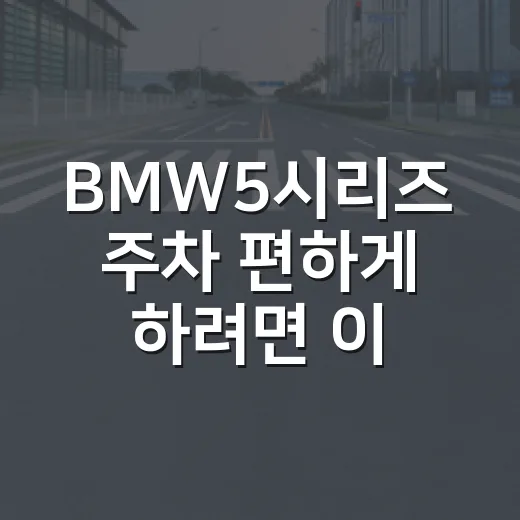 BMW5시리즈 주차 편하게 하려면 이렇게 잡는 게 덜 피곤합니다 - 요약