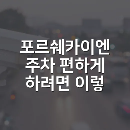 포르쉐카이엔 주차 편하게 하려면 이렇게 타고 이렇게 세우는 방법 - 요약