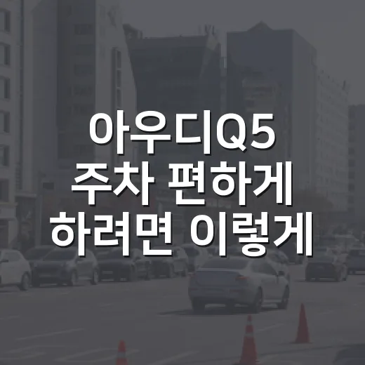아우디Q5 주차 편하게 하려면 이렇게 잡으면 됩니다 - 요약