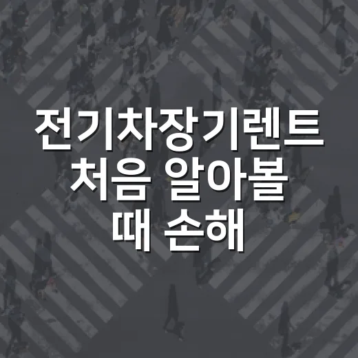 전기차장기렌트 처음 알아볼 때 손해 덜 보려면 이렇게 보세요 - 요약