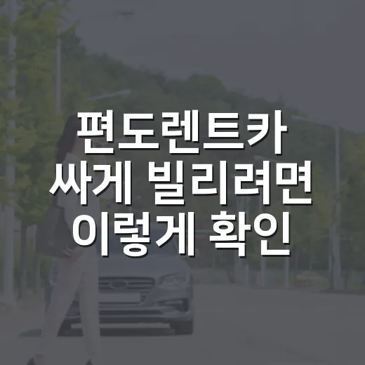 편도렌트카 싸게 빌리려면 이렇게 확인하는 방법 - 요약
