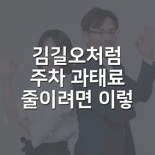 김길오처럼 주차 과태료 줄이려면 이렇게 확인하는 방법 - 요약