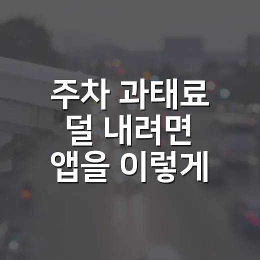 주차 과태료 덜 내려면 앱을 이렇게 깔아두는 방법 - 요약