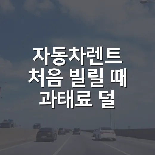 자동차렌트 처음 빌릴 때 과태료 덜 맞고 편하게 타는 방법 - 요약